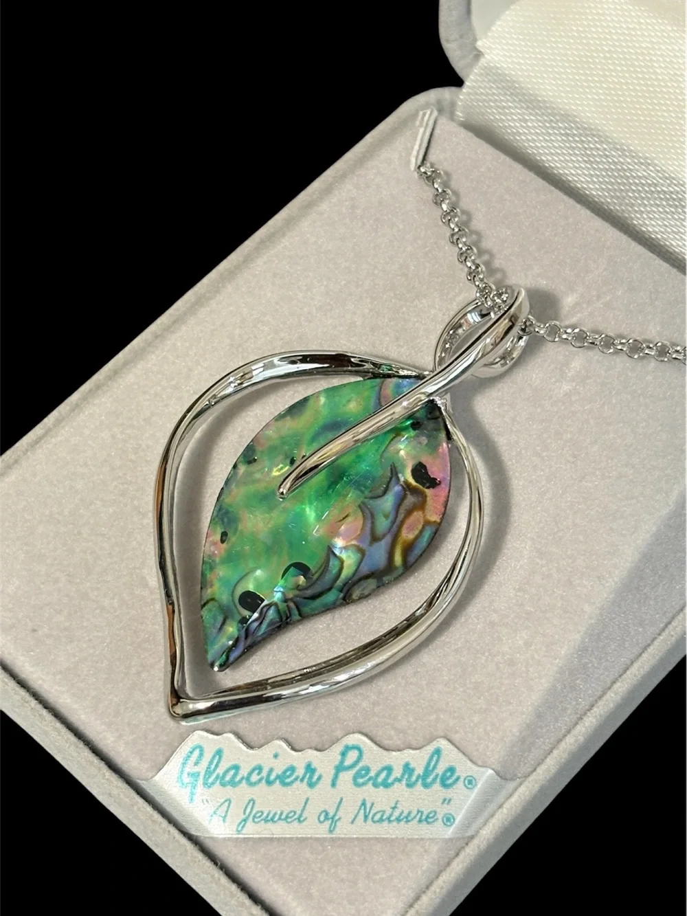 Glacier elegant abalone
